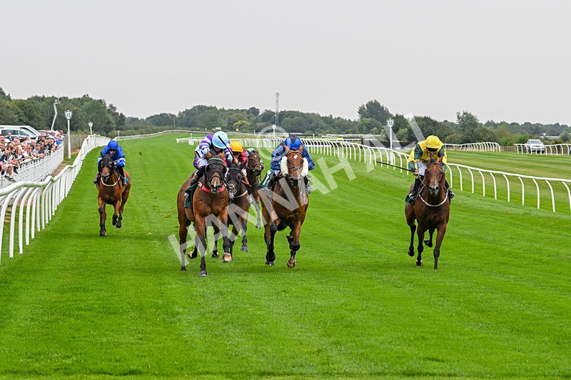 280824-Race 3-Too Much Too Young-4244