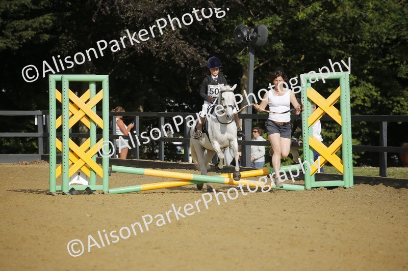 20250622-1165 - 40cm