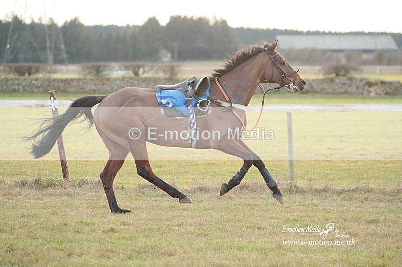 PtP 290123 308983 - Heythrop Hunt PtP Cocklebarrow 29/01/2023