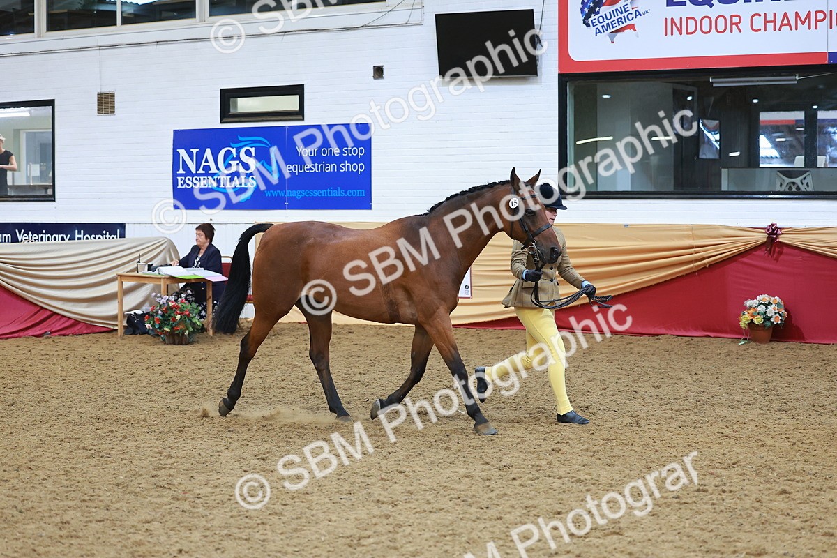 SBM_12615 - Class 103 - HOYS Veteran Qualifier - Ridden Pre Vet