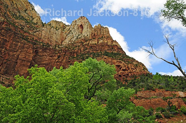 Image #2 - Zion National Pk.- 2011
