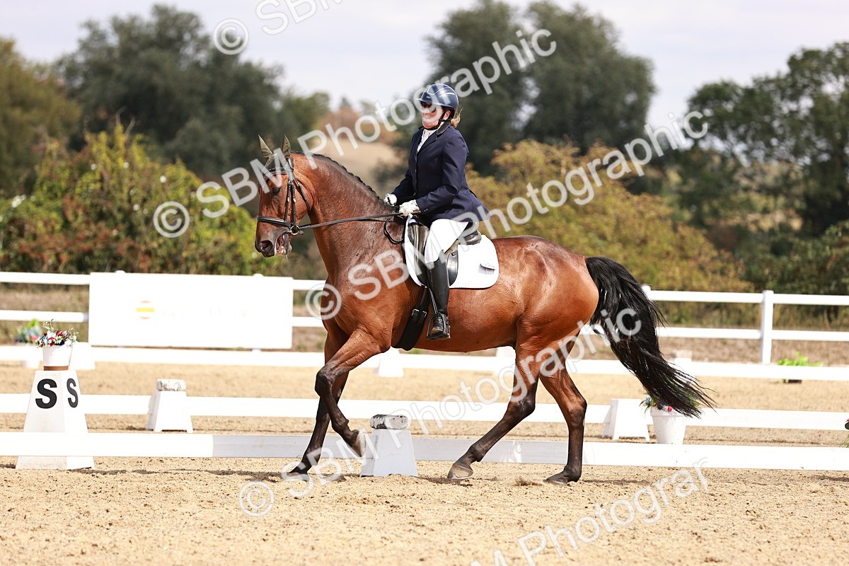 SBM_018520 - Class 17 - Novice 6