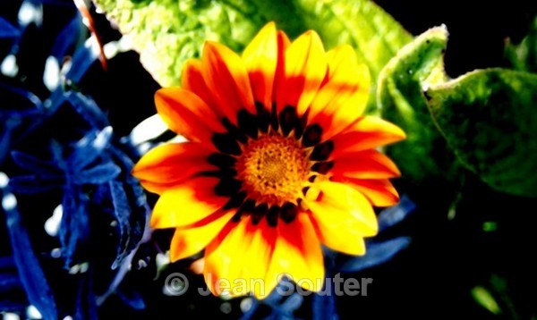 C48 - Colour Images