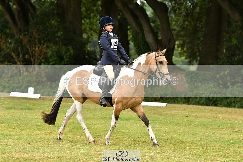 250820A-125010-05667 - 12 to 13.00