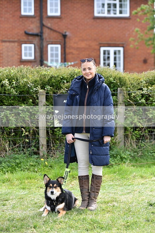 WJ5_0796 - Best in Show Championship