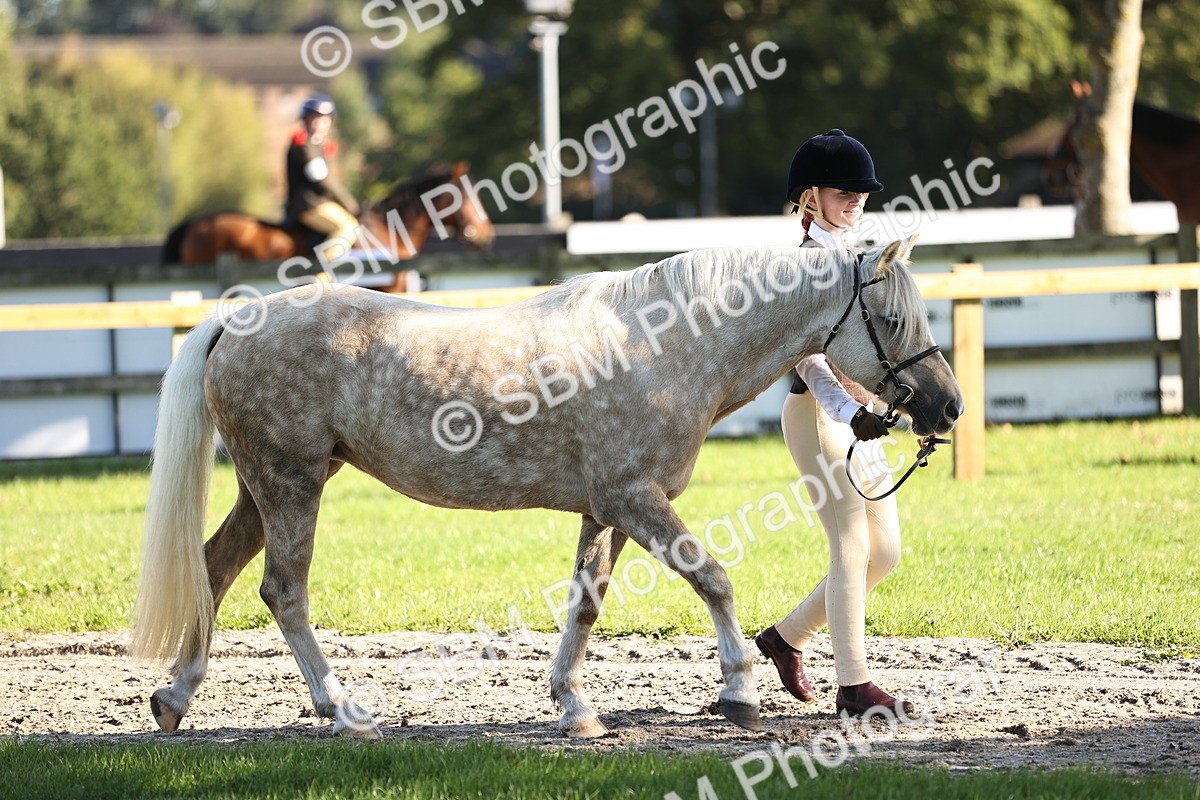SBM_15830 - S1 - TSR in Hand Horse & Pony Showing
