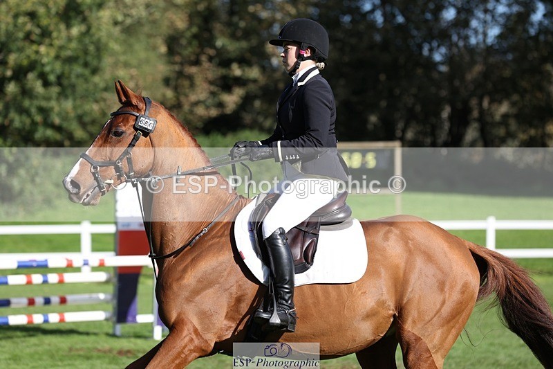 231022-113308-25240 - 686-MOORLAND.MAGIC-Charlotte.Chard-TrotUp+SJ