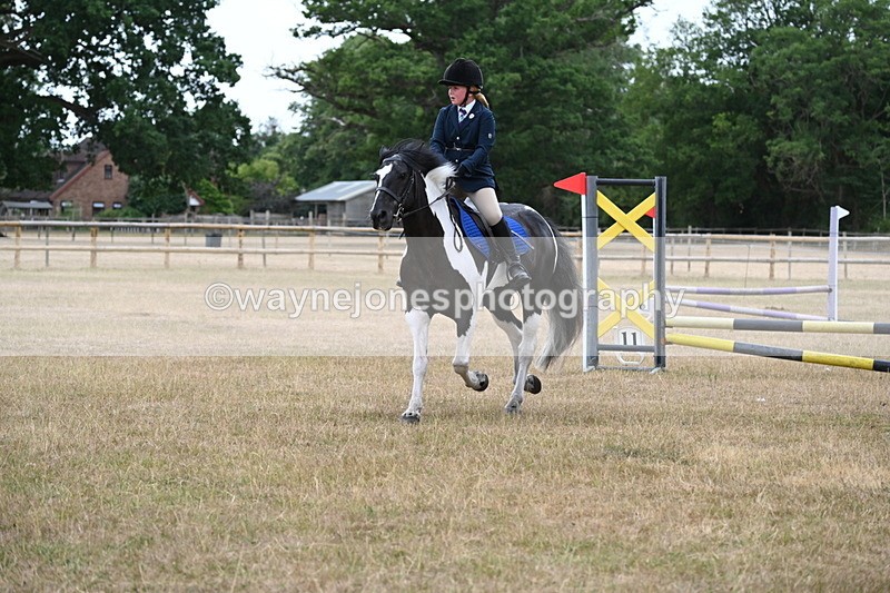 WJ6_9974 - Class 13 Novice Jumping 60cm