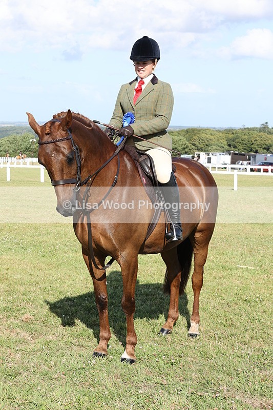 JPP_3046 - Class 20: Working Hunter 70cm