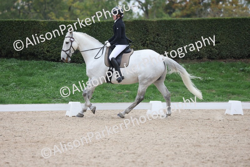 20251011-0440 - Class 4 - Novice 2