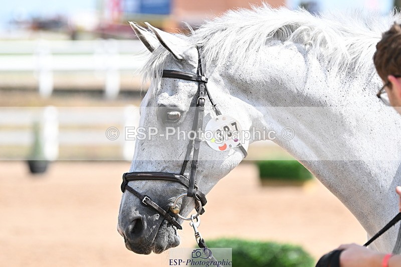 240717A-153914-02950 - Trot Up 3pm to 4pm