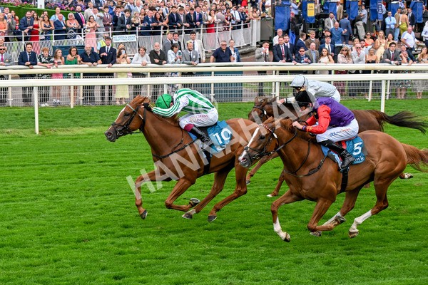 250725-Race 5-Sand Gazelle-0726 - Race 5 7.48pm British EBF Lyric Fillies' Stakes