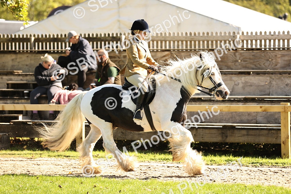SBM_19150 - S3 - TSR Ridden Pony Showing