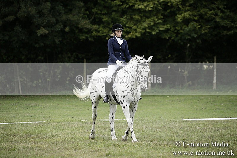 BVR080918 287 - BVRC Novice Dressage & CR 08/09/18
