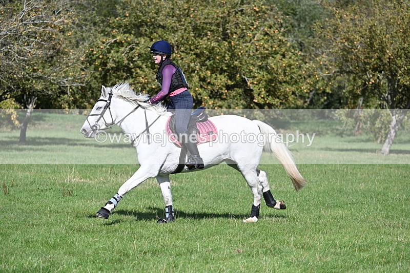 WJ7_1497 - Time 13:56 to 14:24