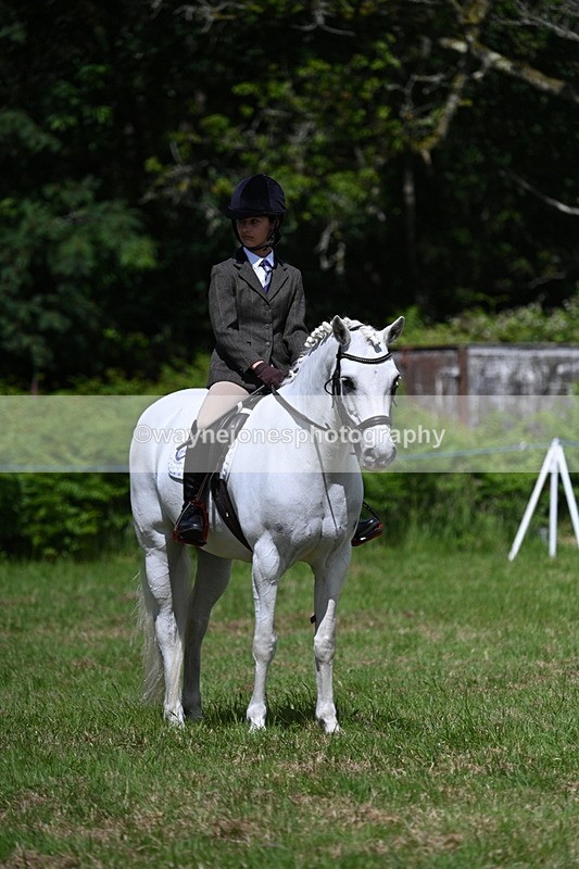 WJ7_1761 - Class 9 Pony Club Pony