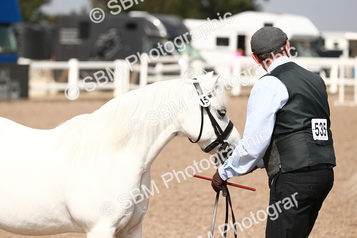 SBM_13902 - Class 209 IH Veteran Pony