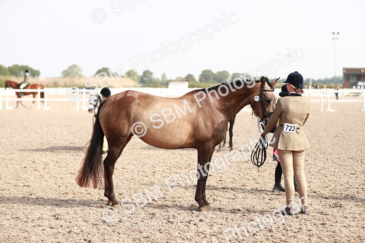SBM_11090 - Class 205 IH Show Pony/ Show Hunter Pony