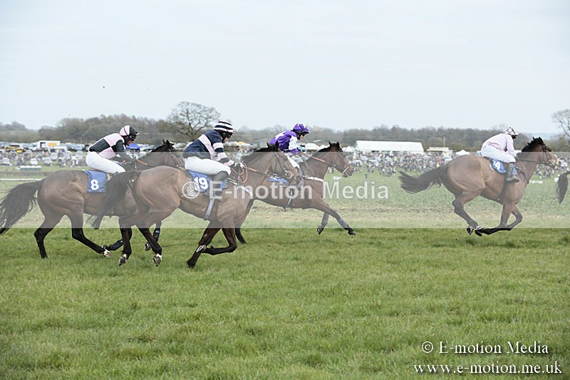 PtP 230319 199 - VWH Hunt Siddington Point-to-Point Racing 23/03/19
