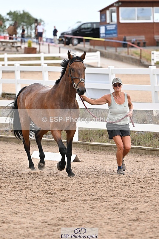 250716-145926-01590 - Trot Up 2.30 to 3.30