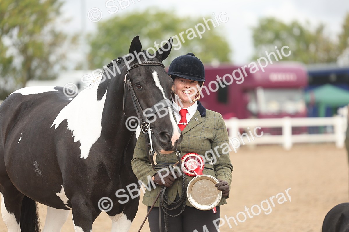 SBM_02137 - Class 15 - IH Coloured