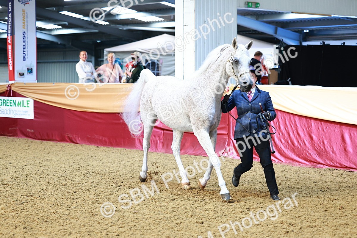 SBM_22186 - Class 902 - Supreme Final - IH Diamond