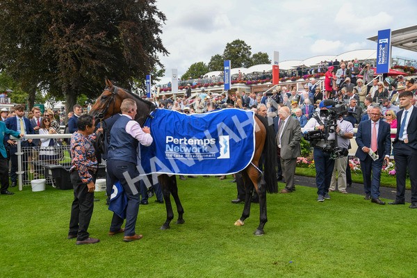 240823-Race 4-Warm Heart-0392 - Race 4 3.35pm Pertemps Network Yorkshire Oaks