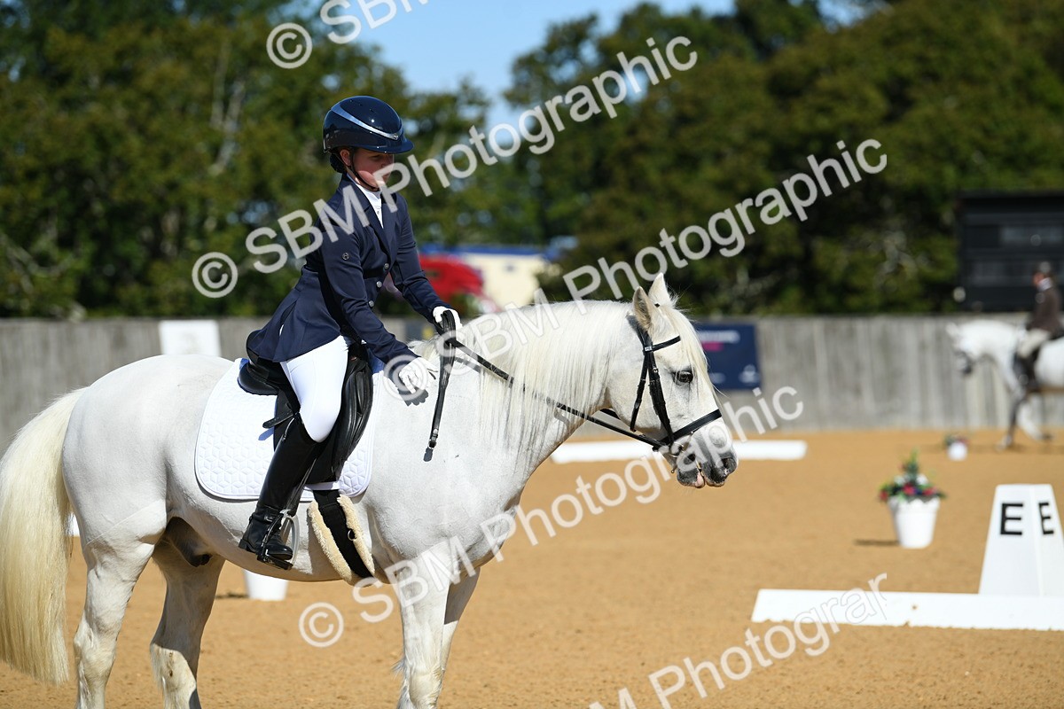 SBM_18121 - D4 - Small Tour Championship - Intro B