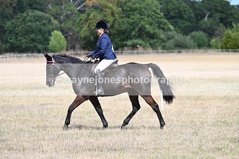 WJ7_5901 - Class 13 Ridden Veterans