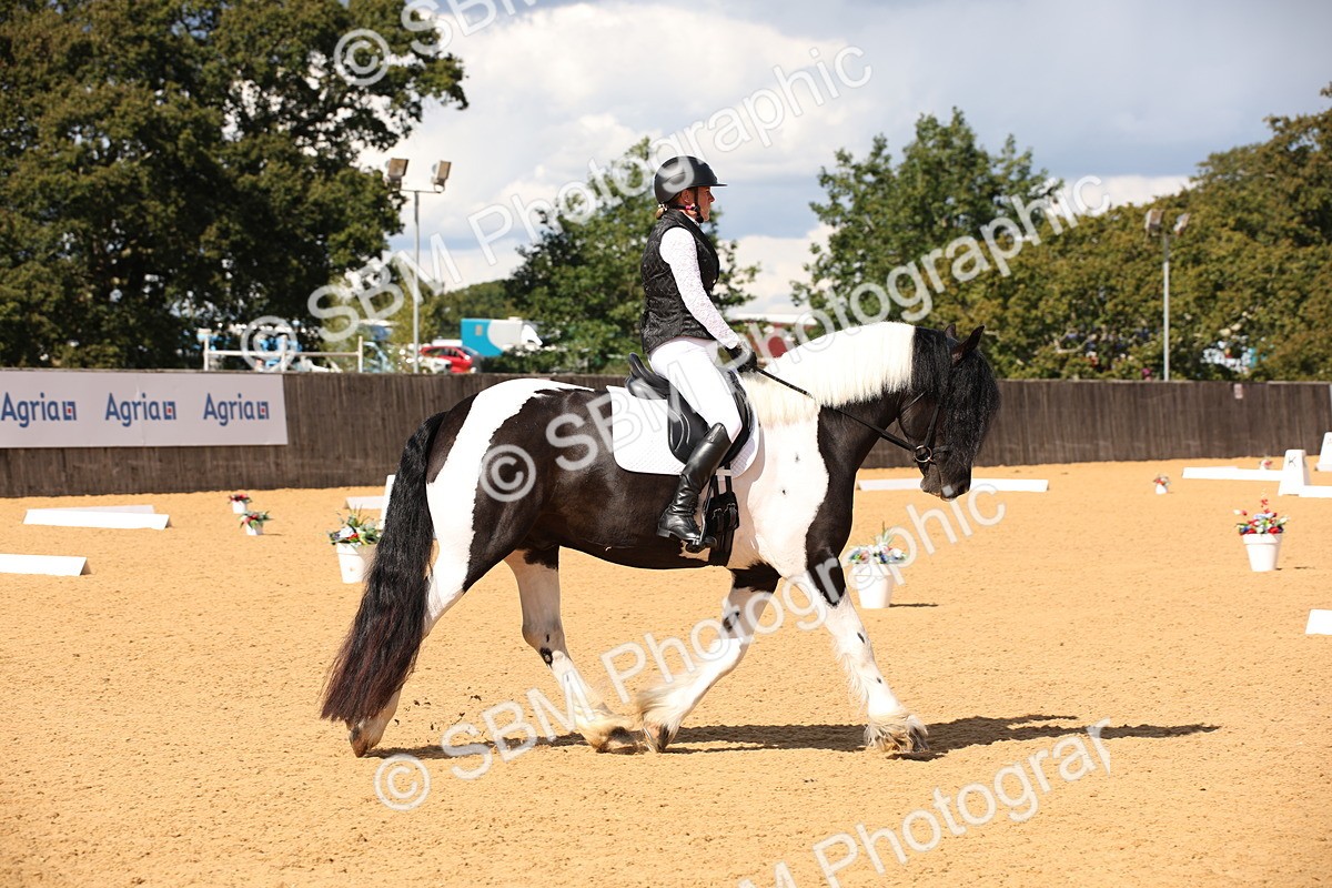 SBM_08858 - D8 Small Tour Championship Prelim 7