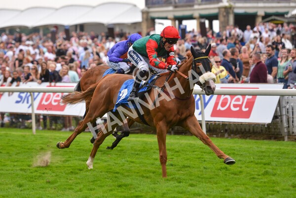 yr24072021r7-56 - Race 7 5.35pm The Sporting Life Fast Results Stakes