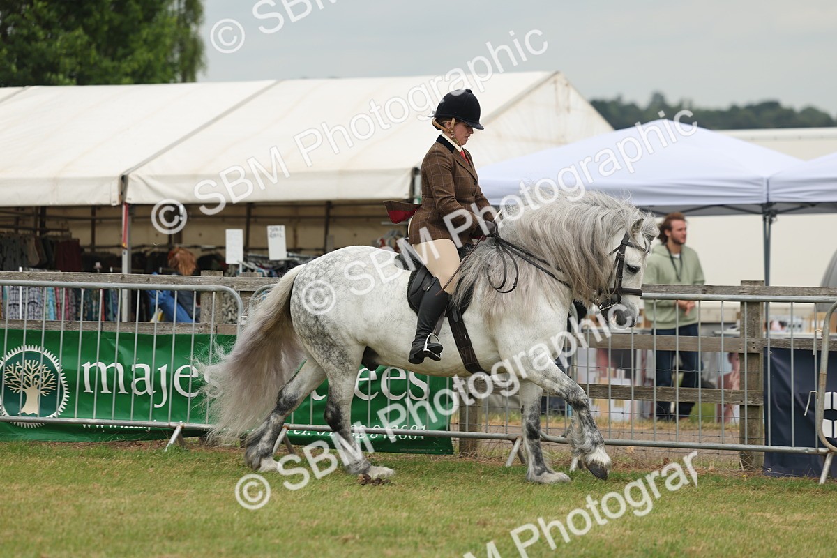 SBM_08953 - Class 78-80 - Ridden M&M Non Welsh Ponies
