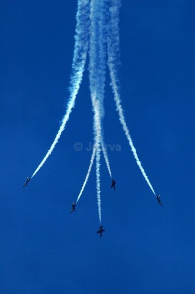 Artistic Dive - Red Bull Air Race I