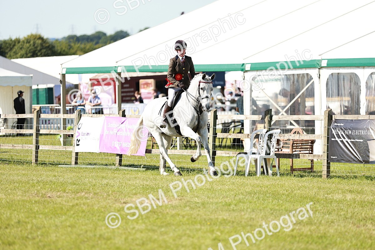SBM_18951 - Class 114 - RIHS & SEIB Open Working Show Horse