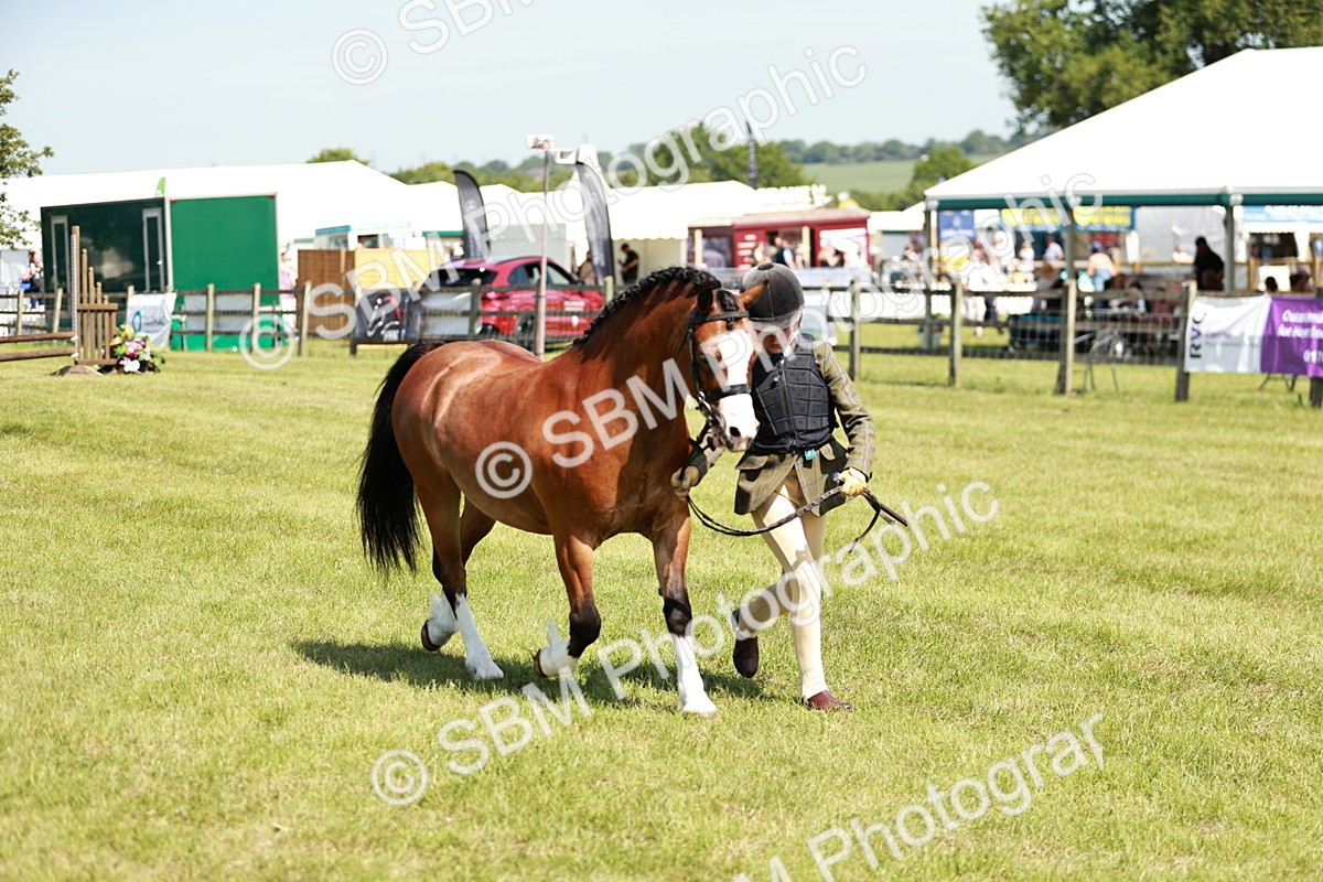 SBM_13607 - Class 108-109 - BSPS LIHS Open Gradle & Nursery Stakes