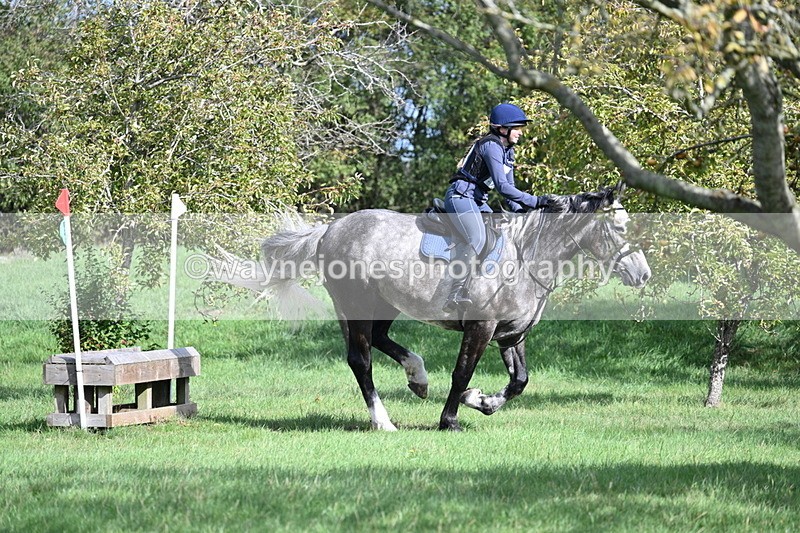 WJ7_8728 - Time 11:10 to 11:53