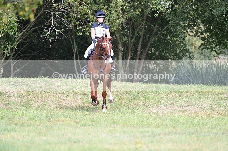 WJ7_7916 - 80cm XC Time 15:07 to 15:25