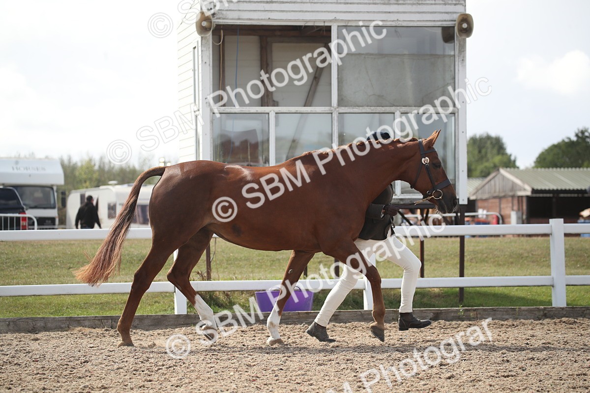 SBM_23088 - Class 606 - 2026 - Area - IH Pre Vet