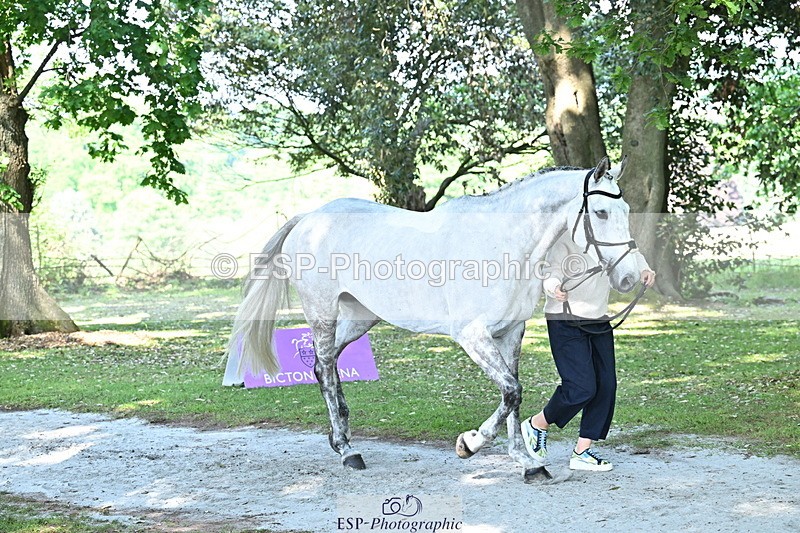 250521A-161650-01031 - C-212-Charlie.Perrott-KILMINGTON.FOLLY