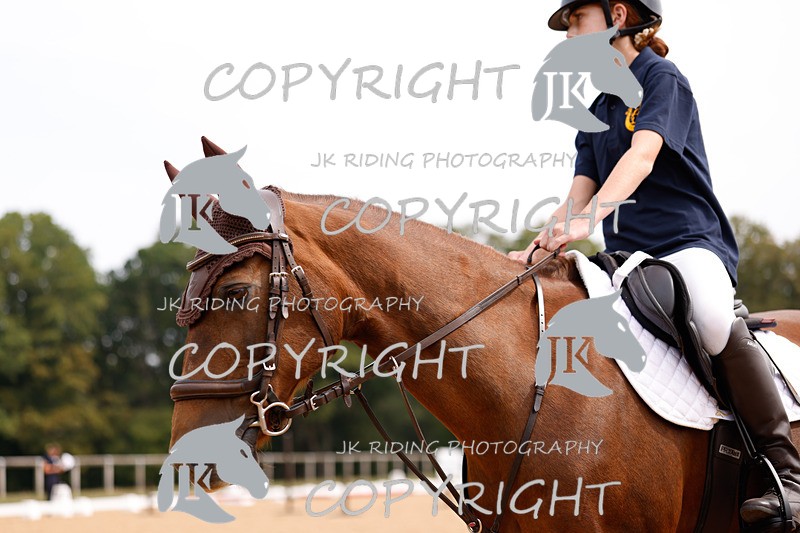 _R6A2483 - Dressage Morning