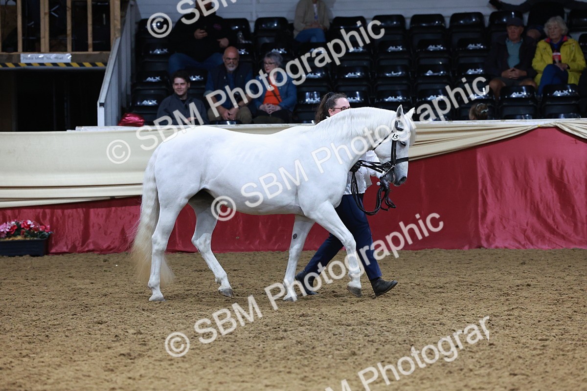 SBM_20110 - Class C - Novalty Champ