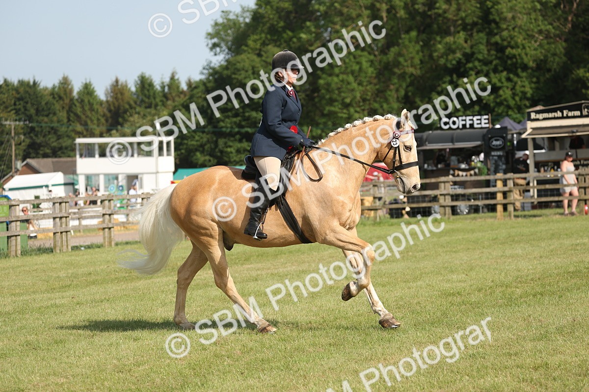 SBM_10256 - Class 33-38 - SSADL RIHS Qualifiers