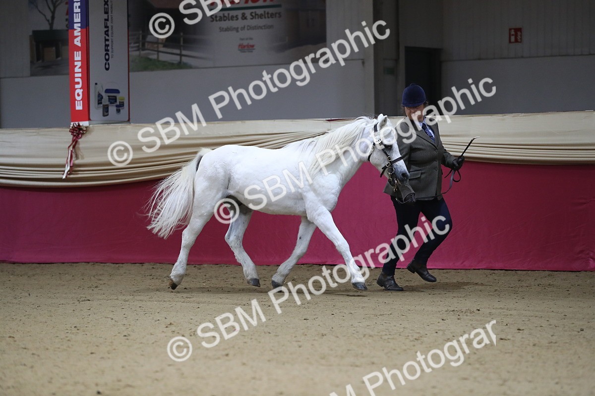 SBM_00216 - Class 1a - Area IH Diamond