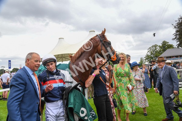 240823-Race 2-Dragon Leader-0234-2 - Race 2 2.25pm Goffs UK Harry Beeby Premier Yearling Stakes
