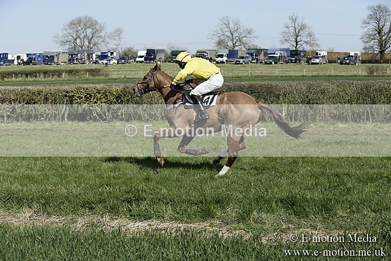 PtP 250317 133 - V.W.H. Hunt Point-to-Point Siddington 25/03/17