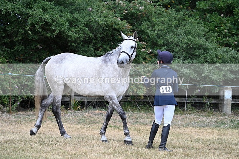 WJ7_1827 - Class 4a Prettiest Mare 14.2hh and over hand