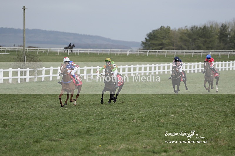 PtP 260323 0994 - New Forest Hounds Point-to-Point Larkhill 26/03/23