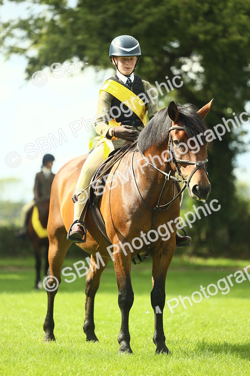 SBM_44962 - Working Hunter Pony Supreme Championship