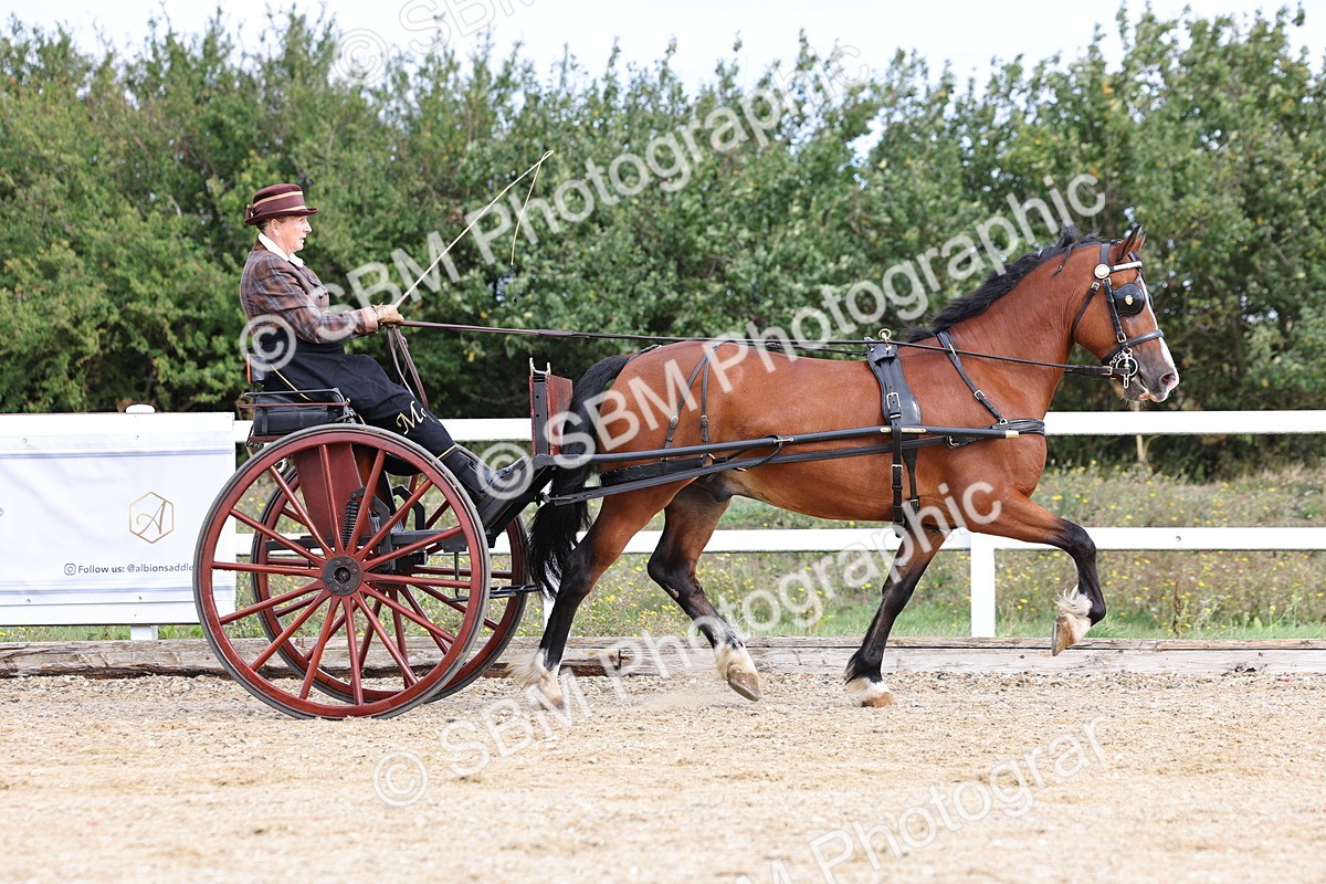SBM_000726 - Class 6 - Exercise Vehicle 13.2 and over