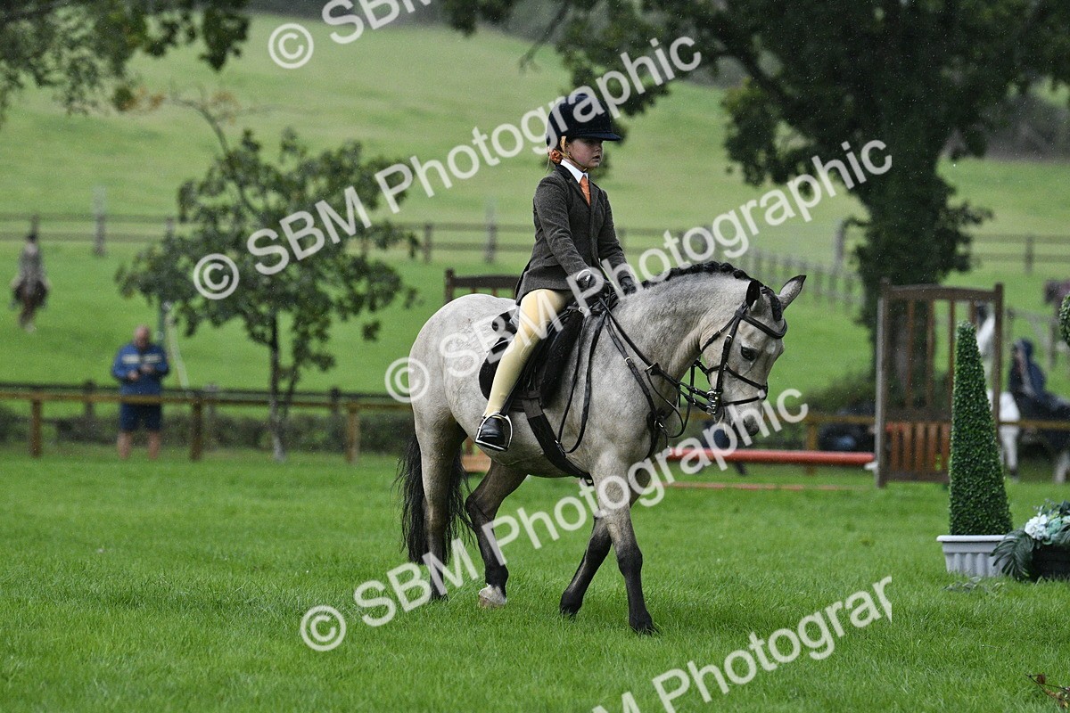 SBM_35507 - S30 - Nursery Stakes Working Hunter Pony